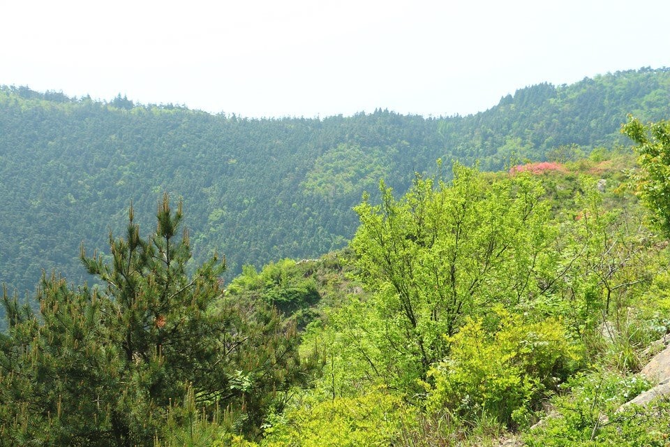 qqͼƬ20140429193315.jpg