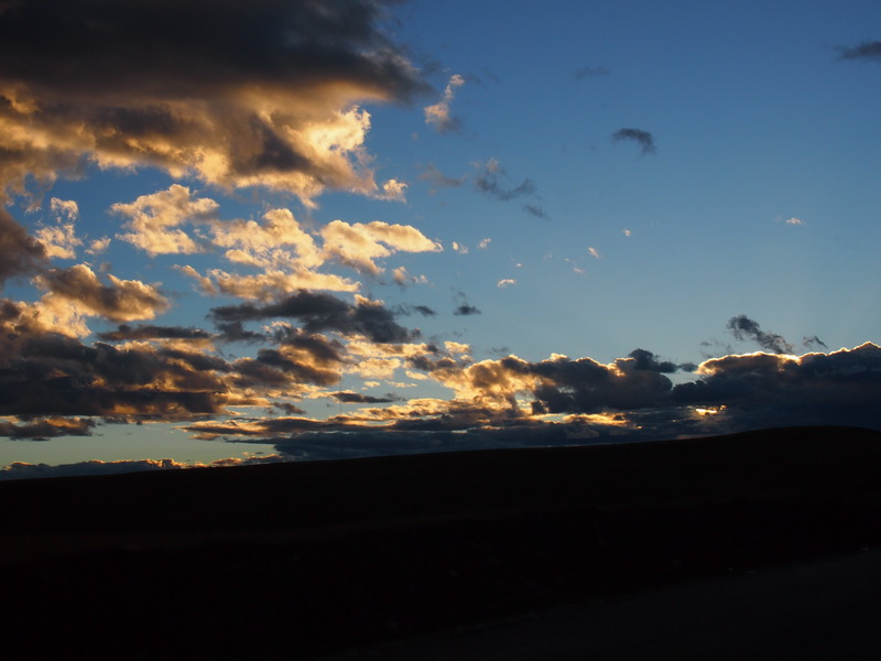 p9083558.jpg