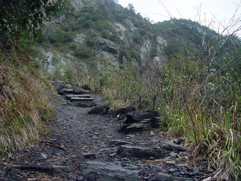 dsc071549_.jpg