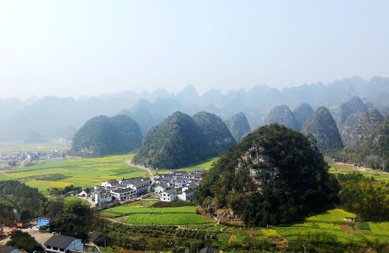 20140316_114141_.jpg