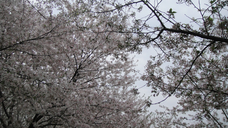 dsc01861.jpg