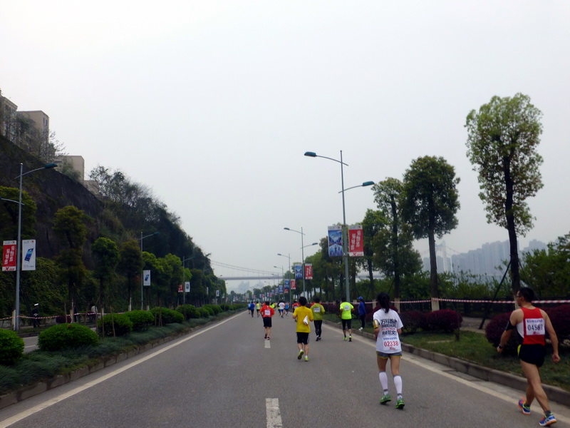 p1190579.jpg