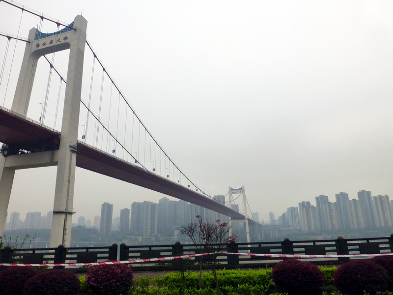 p1190583.jpg