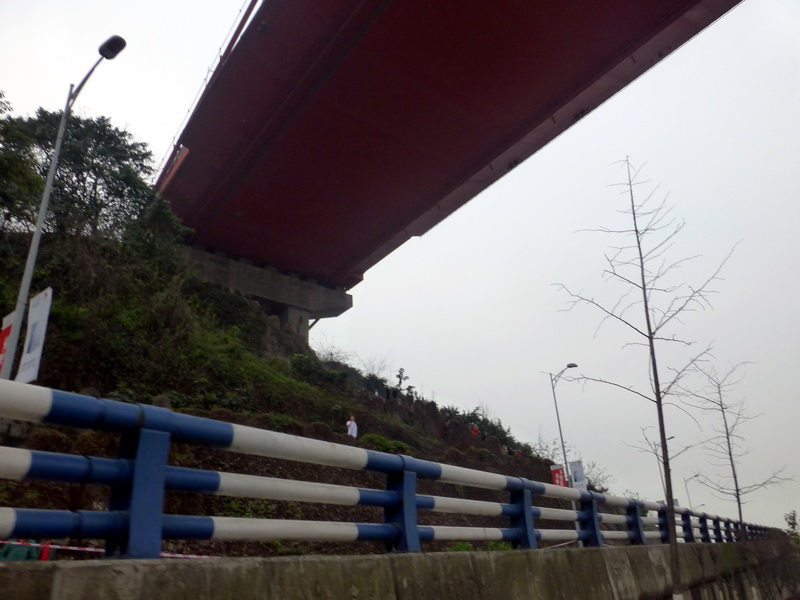 p1190585.jpg
