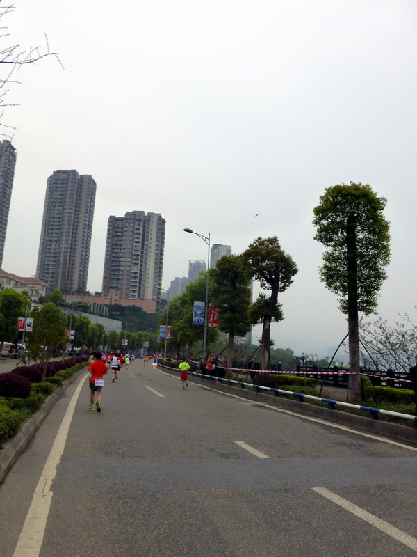 p1190586.jpg