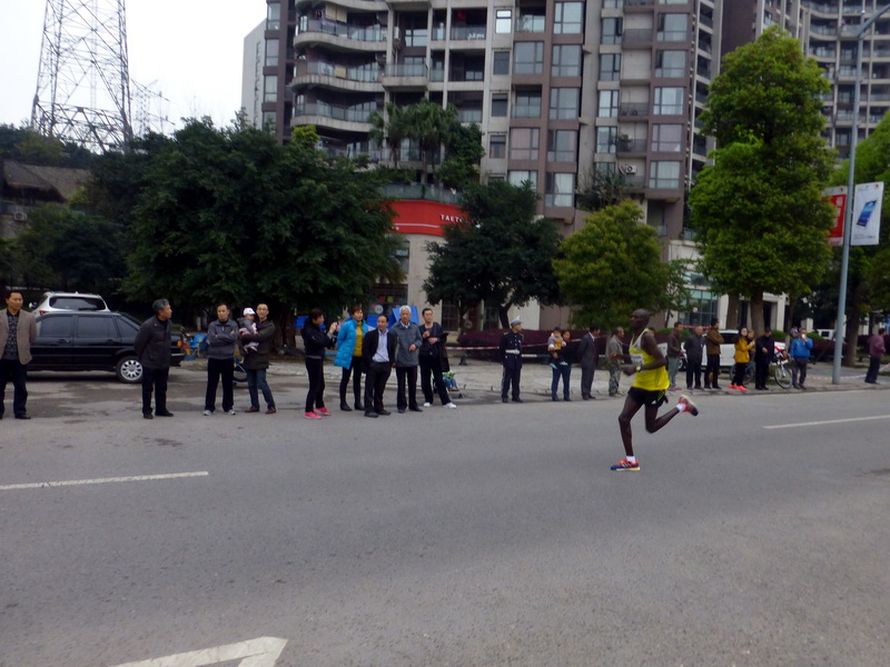 p1190601.jpg