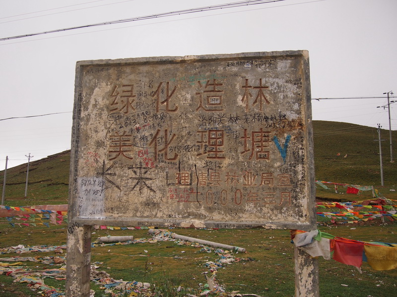 p9093636.jpg