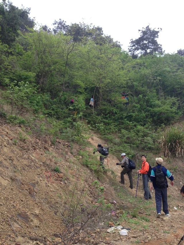 qqͼƬ20140407174652.jpg