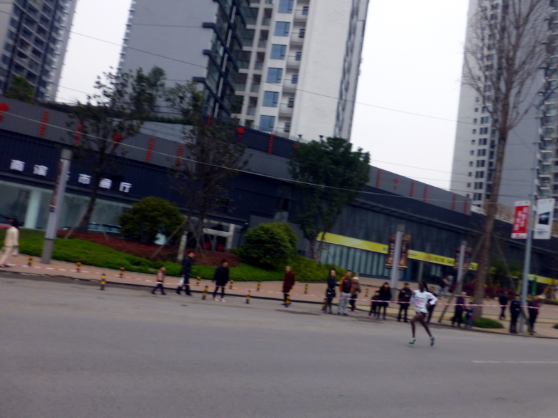 p1190615.jpg