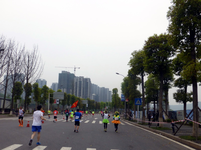 p1190655.jpg