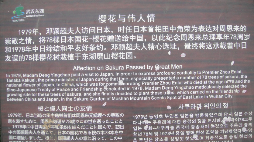 dsc01764.jpg