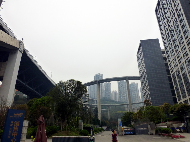 p1190692.jpg