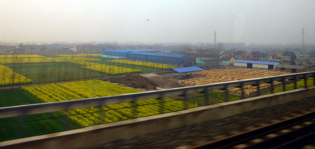 p1190742.jpg