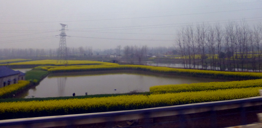 p1190747.jpg