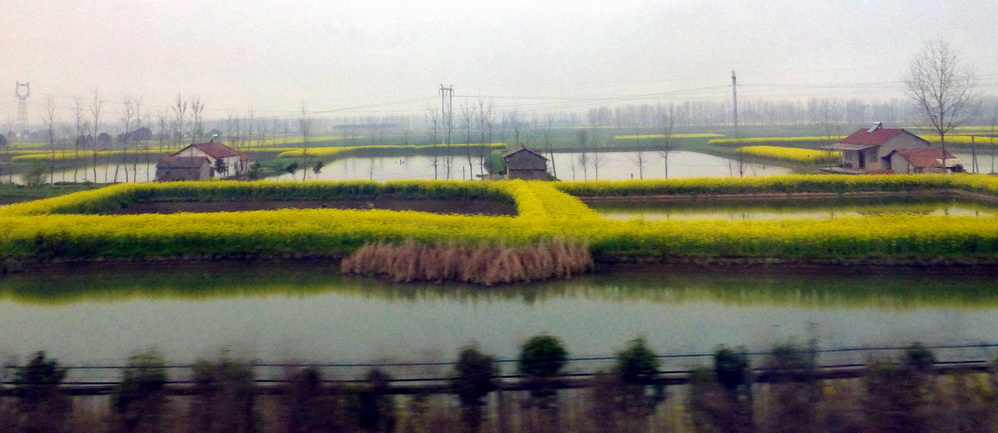 p1190748.jpg