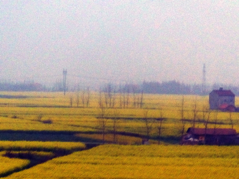 p1190754.jpg