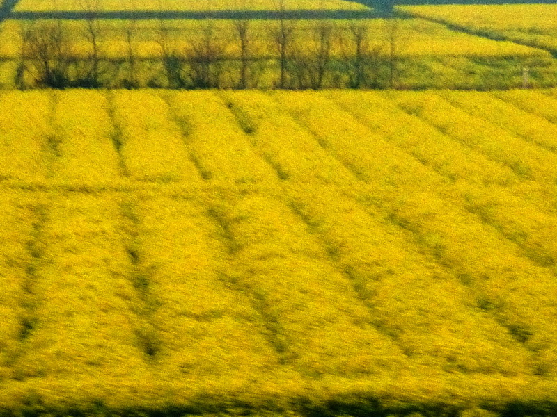 p1190755.jpg
