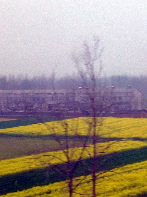 p1190758.jpg
