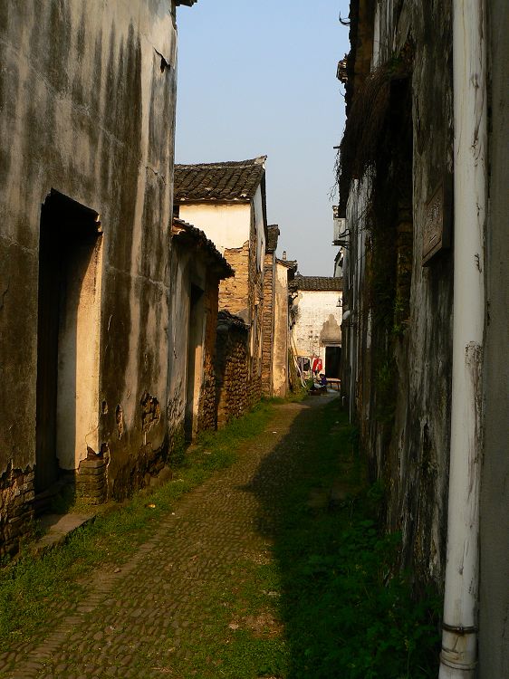 p1310731.jpg