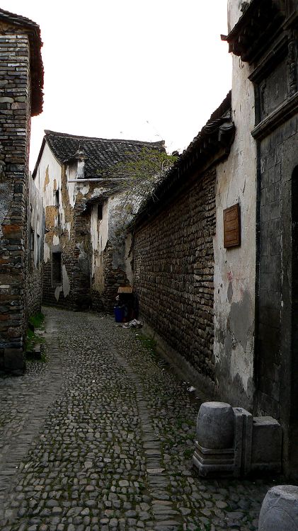 p1310754.jpg
