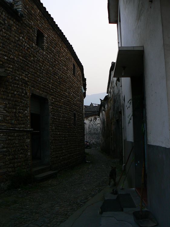 p1310757.jpg