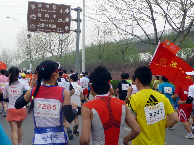 p1200061.jpg