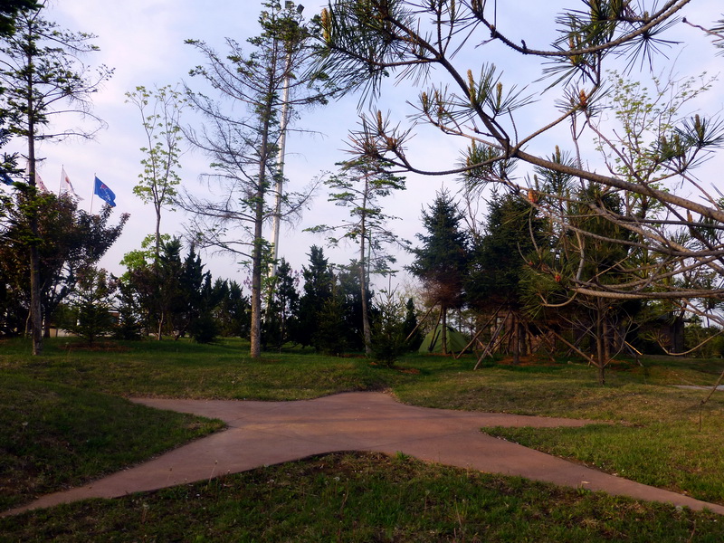 p1210203.jpg