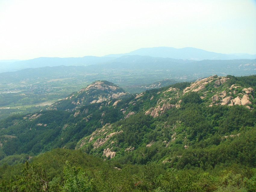 dsc03956_.jpg