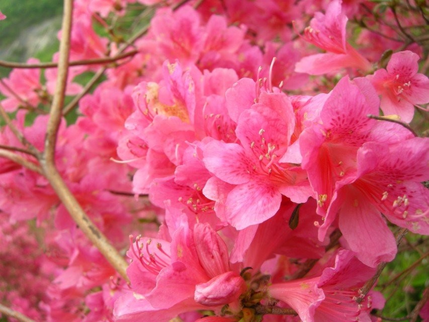 qqͼƬ20140424174111.jpg