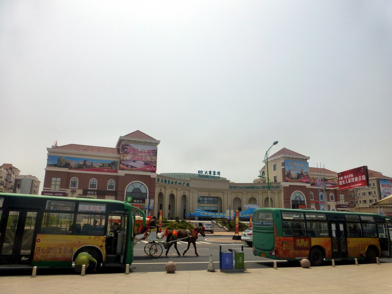 p1210037.jpg