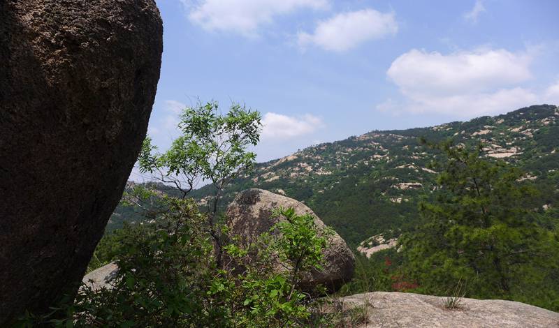 p1220957-1.jpg