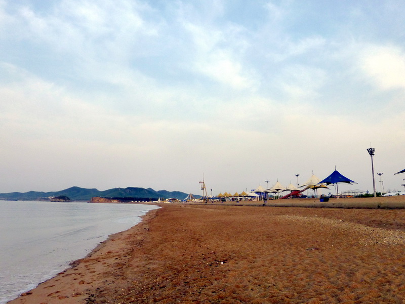 p1210135.jpg