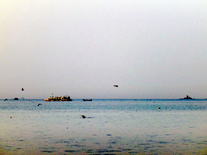 p1210152.jpg