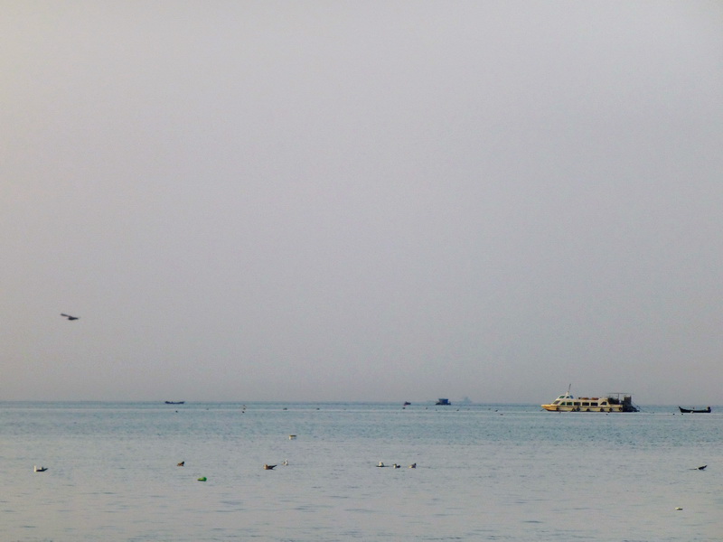 p1210153.jpg