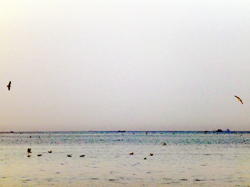 p1210154.jpg
