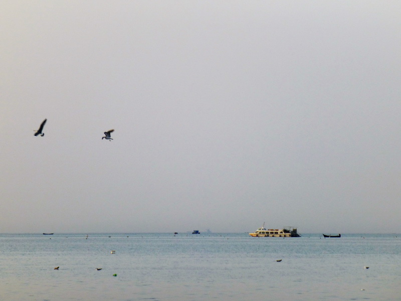 p1210155.jpg