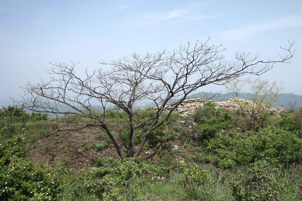 s-068a.jpg