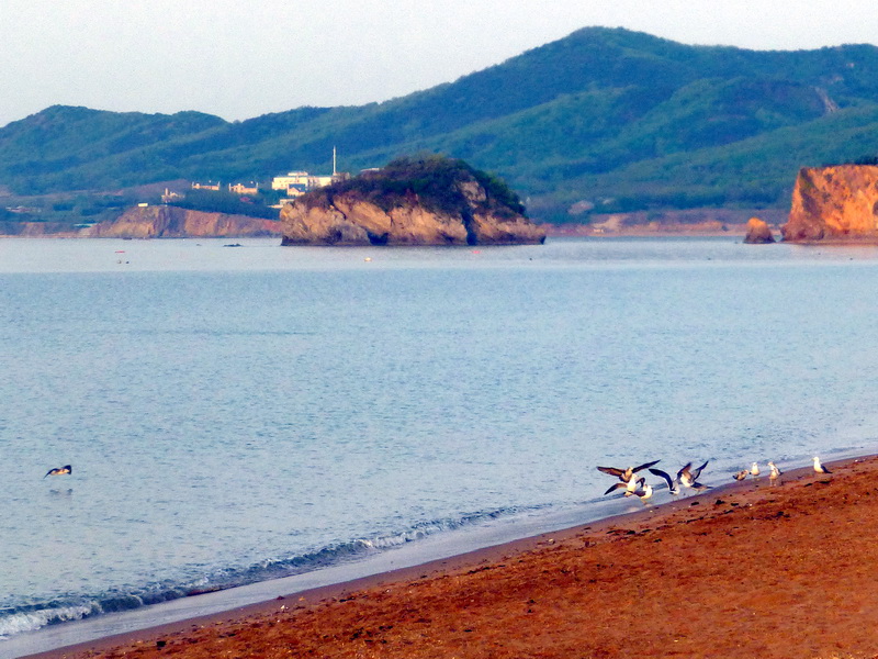 p1210187.jpg