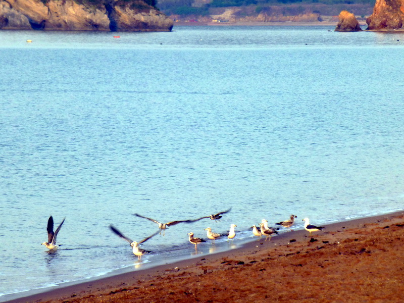 p1210189.jpg