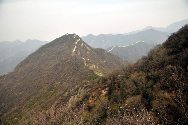 dsc_0111_.jpg