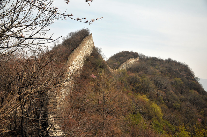 dsc_0114_.jpg