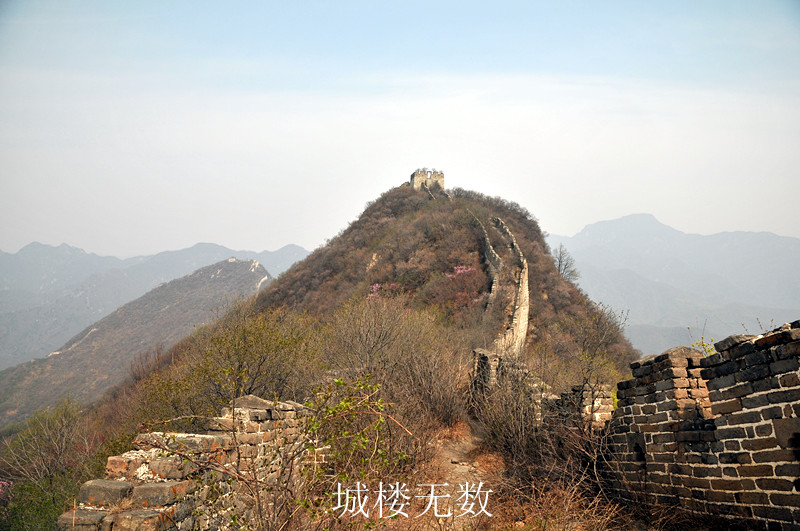 dsc_0131_.jpg
