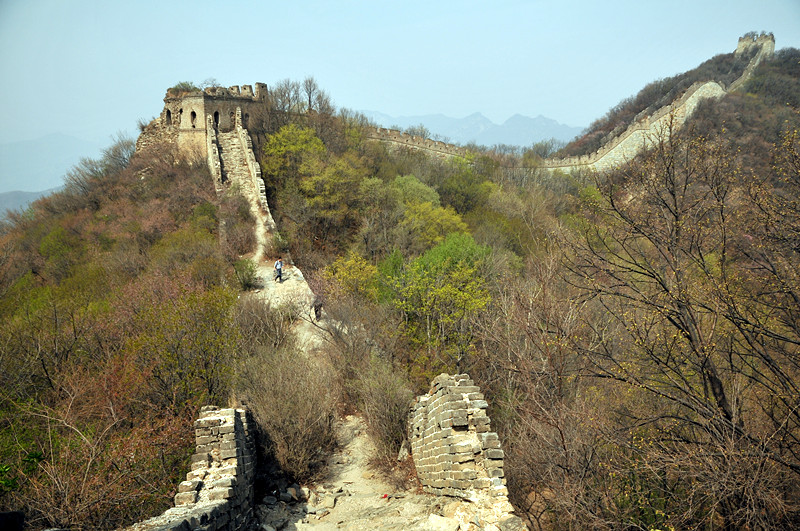dsc_0137_.jpg