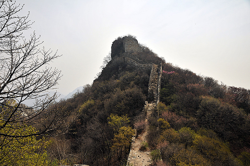 dsc_0135_.jpg