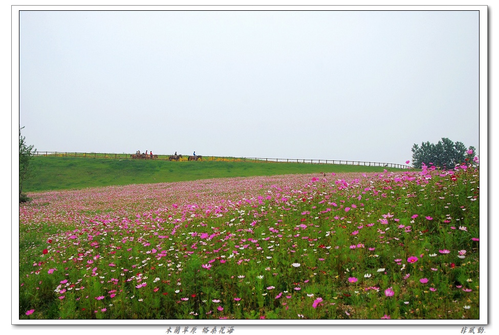dsc_2782_neo_img_neo_img.jpg