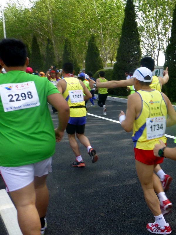p1210250.jpg
