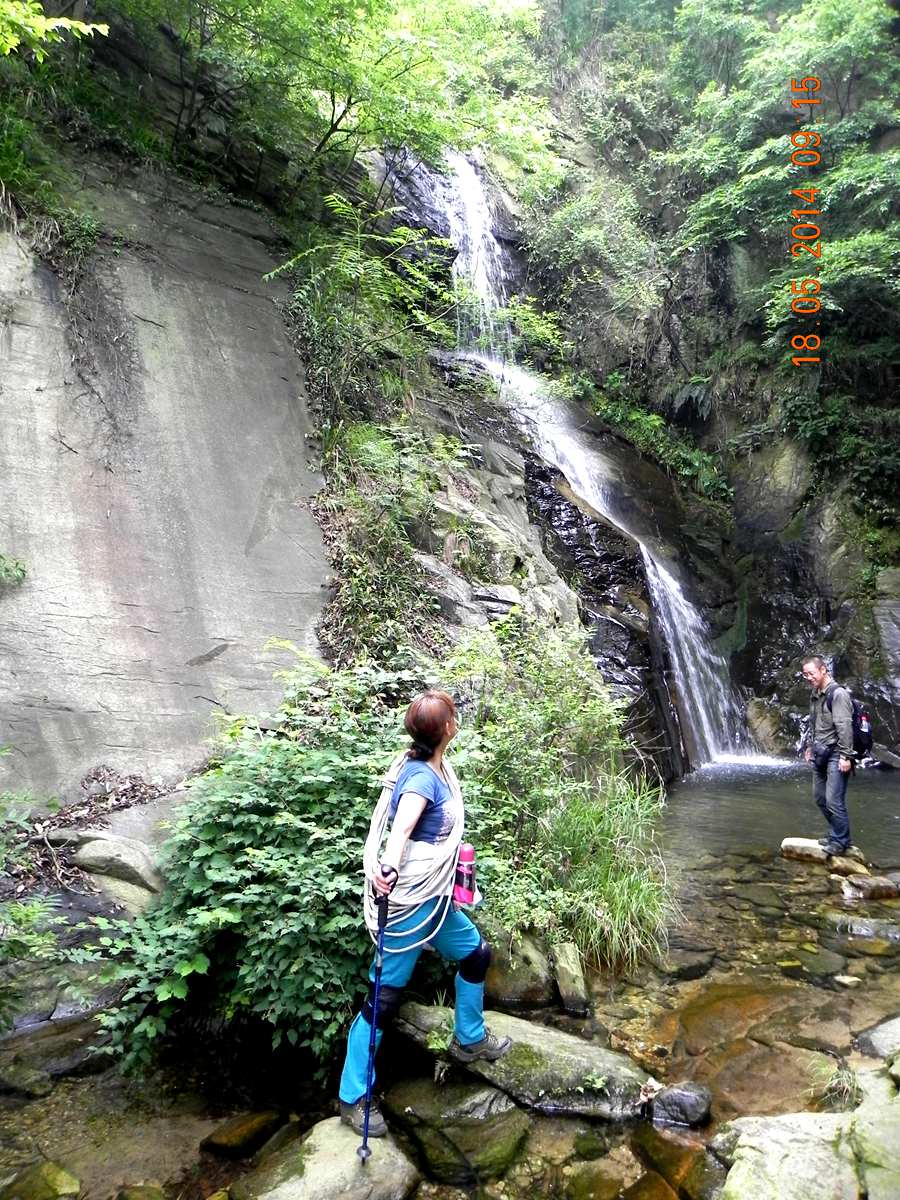 dscn8737.jpg