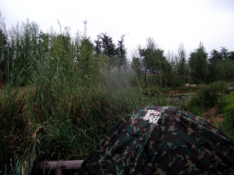 dscf1002.jpg