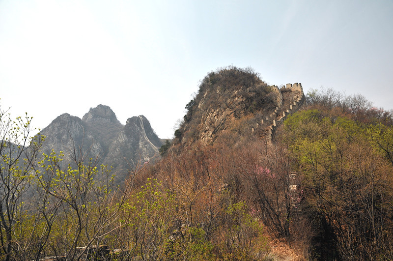 dsc_0188_.jpg