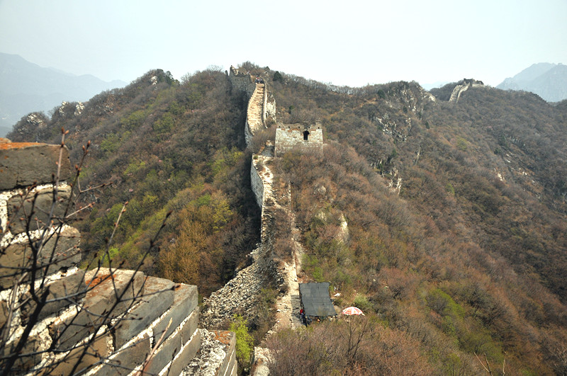 dsc_0197_.jpg